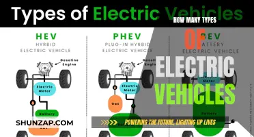 Electric Vehicles: Exploring the Diverse Types and Their Benefits