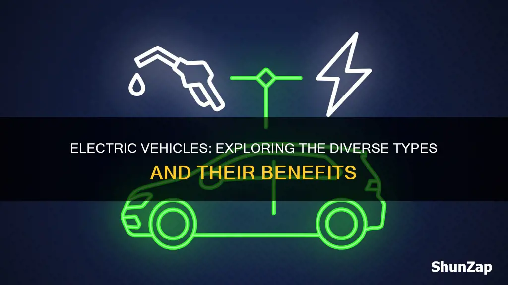 how many types of electric vehicles