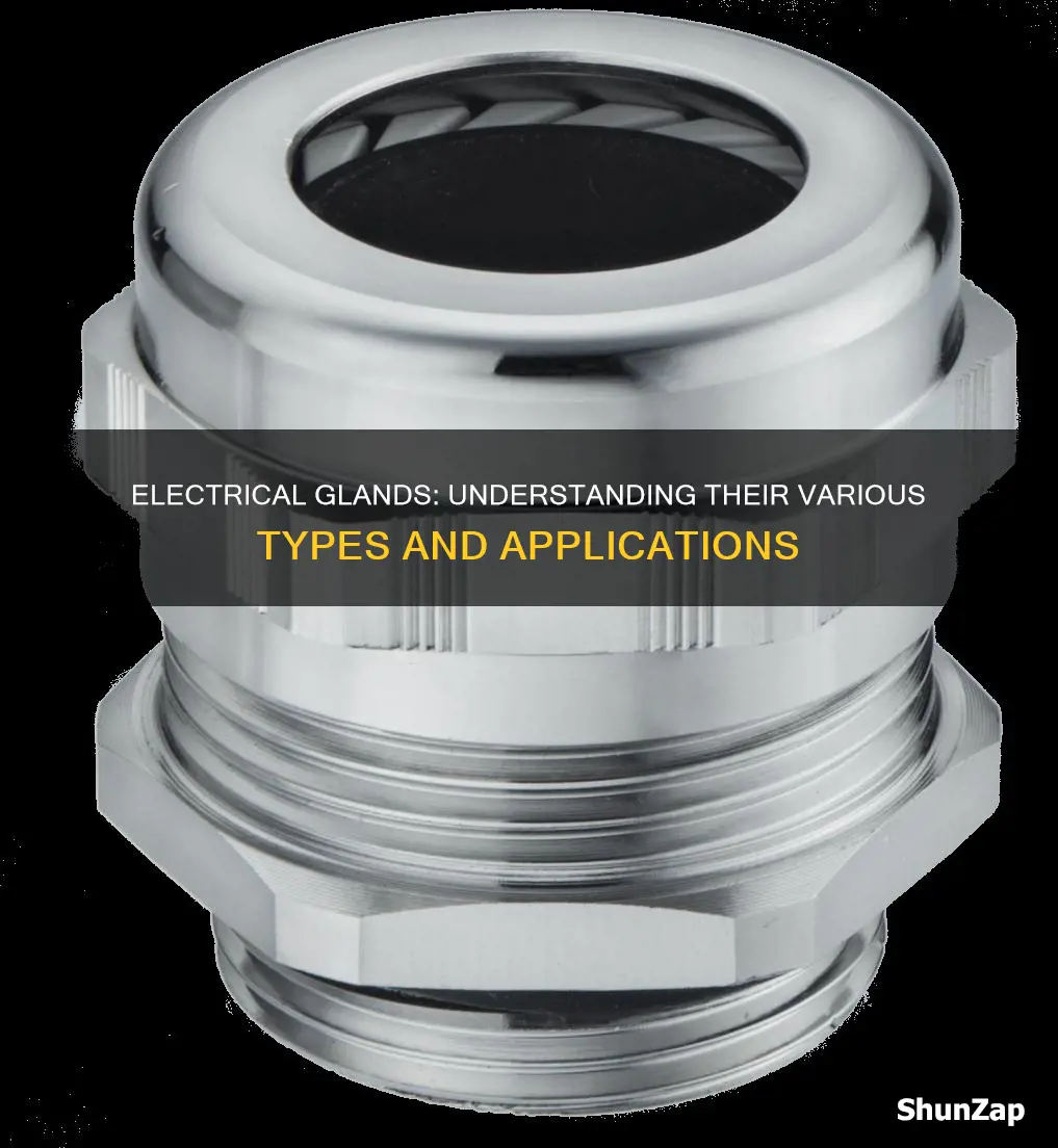 how many types of gland in electrical
