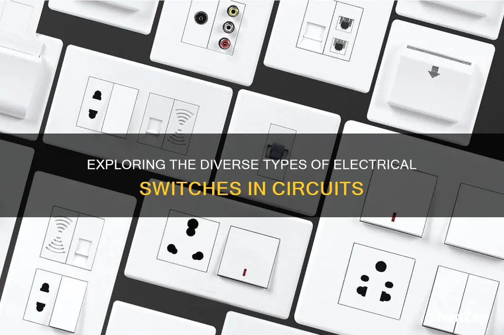 how many types of switches are used in electrical circuits