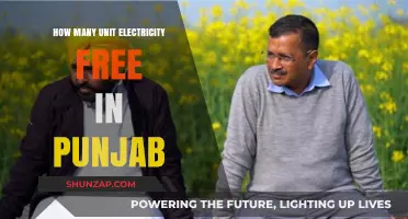 Free Electricity Units: Punjab's Generous Offer