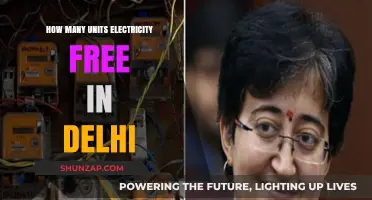 Free Electricity Units: Delhi's Power Play