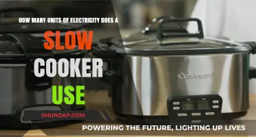 Slow Cooker Energy Efficiency: Uncovering Electricity Usage Per Unit