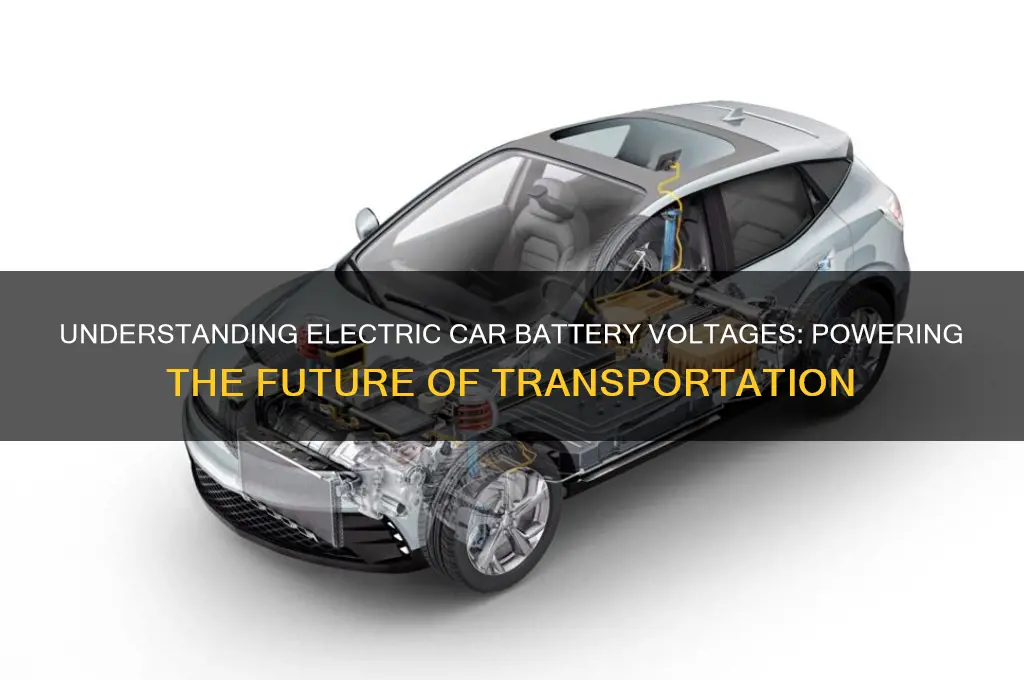 how many volts are electric car batteries