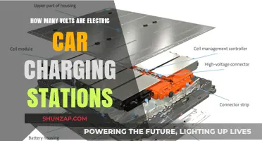 Understanding Electric Car Charging Station Voltage Levels and Options