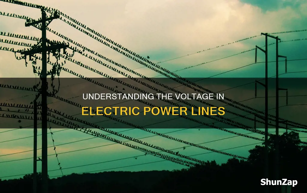 how many volts are in electric lines