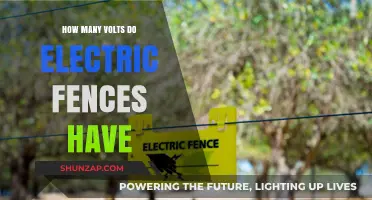 Electric Fences: Understanding Their Voltage and Power