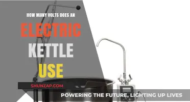 Electric Kettle Voltage: Understanding Power Consumption for Efficient Boiling