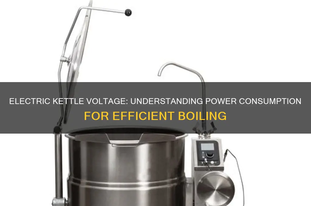 how many volts does an electric kettle use