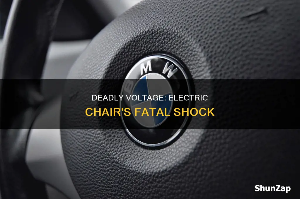 how many volts does electric chair have