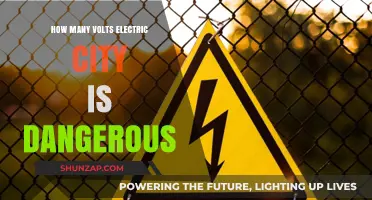 Volts that can Kill: Understanding Electrical Safety