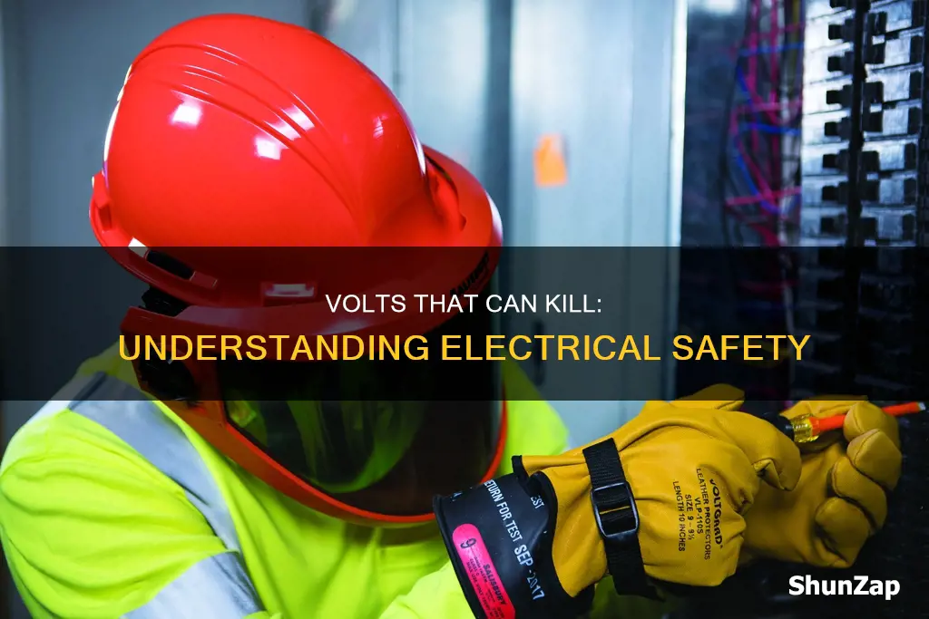 how many volts electric city is dangerous