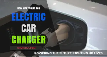 Understanding Electric Car Charger Voltage Requirements for Efficient Charging