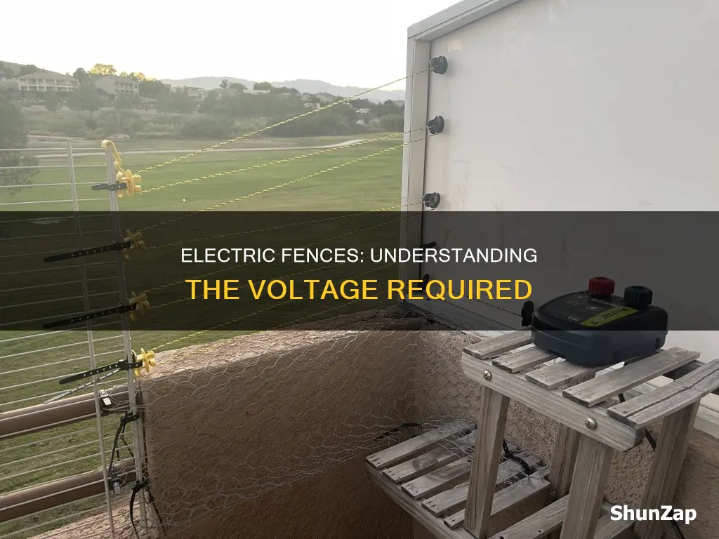 how many volts in an electric fence