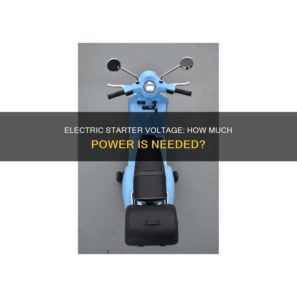 how many volts is an electric starter