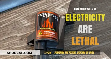 Voltage Lethality: Understanding the Danger Zone