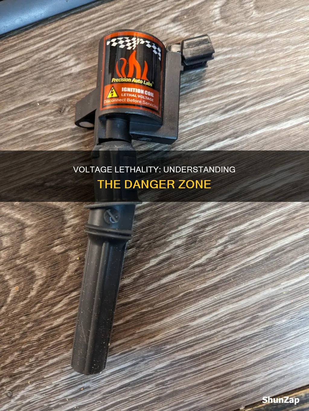 how many volts of electricity are lethal