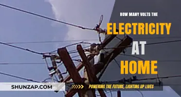 Home Electrical Power: How Many Volts?