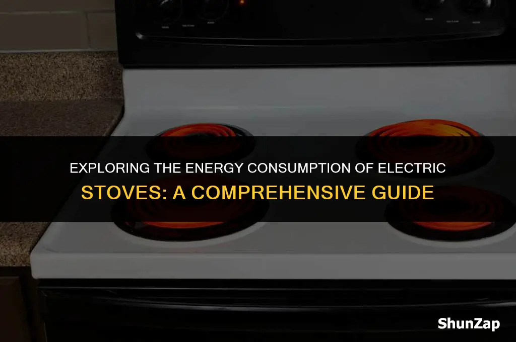 how many watt hours does an electric stove use
