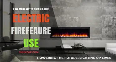 Exploring the Power Consumption of Large Electric Fire Features