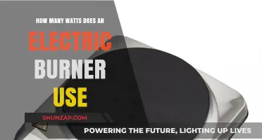 Exploring the Power Consumption of Electric Burners: A Comprehensive Guide
