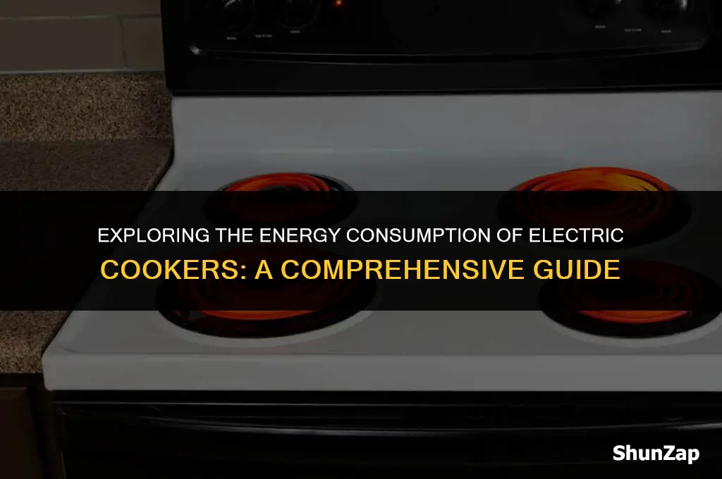how many watts does an electric cooker use