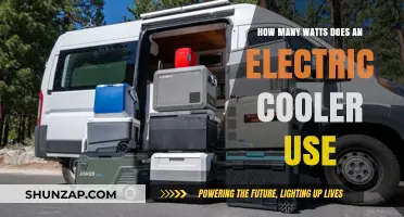 Exploring the Energy Efficiency of Electric Coolers: A Wattage Guide