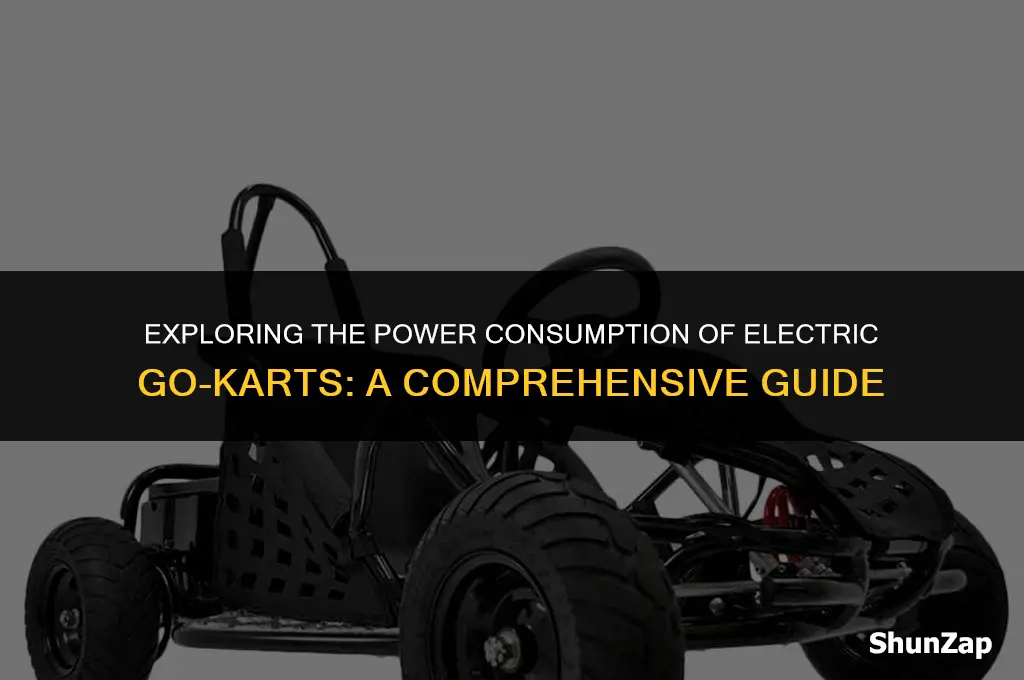 how many watts does an electric go kart use