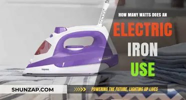 Exploring the Power Consumption of Electric Irons: A Comprehensive Guide