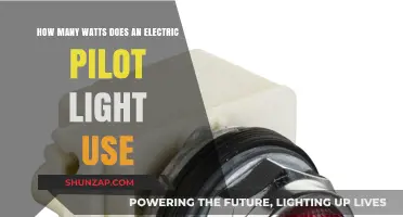Exploring the Energy Consumption of Electric Pilot Lights