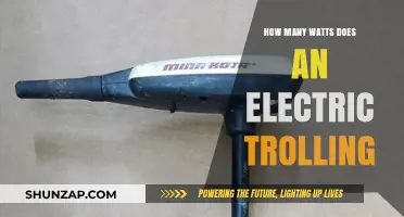 Powering Your Trolling Motor: Understanding Wattage Requirements