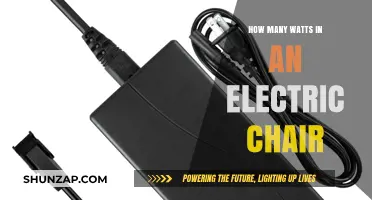 Electric Chair Execution: The Wattage Behind It