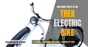 Electric Bike Power: Trek's Watts Unveiled