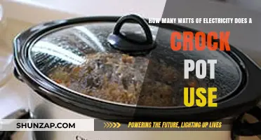 Exploring the Energy Efficiency of Your Favorite Slow Cooker