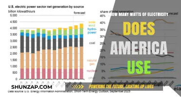 Powering the Nation: America's Electricity Consumption Explained