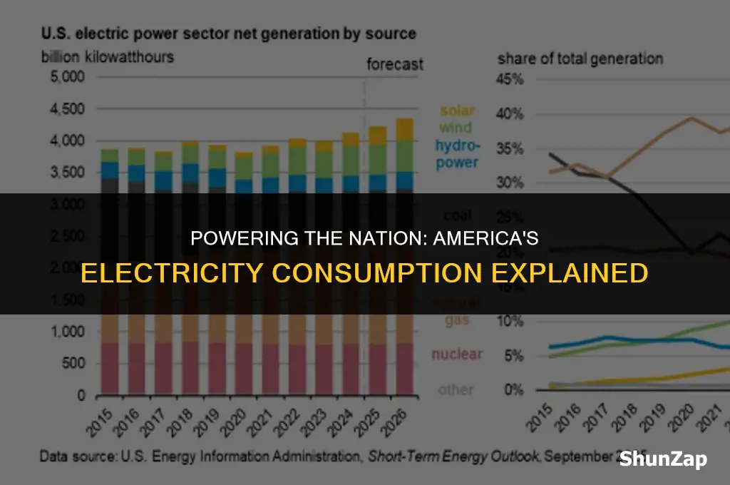 how many watts of electricity does america use