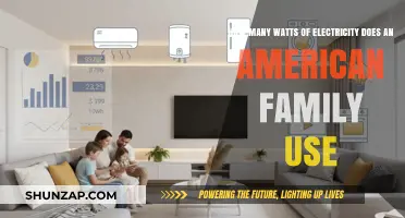 Power Consumption: A Glimpse into an American Family's Electricity Usage