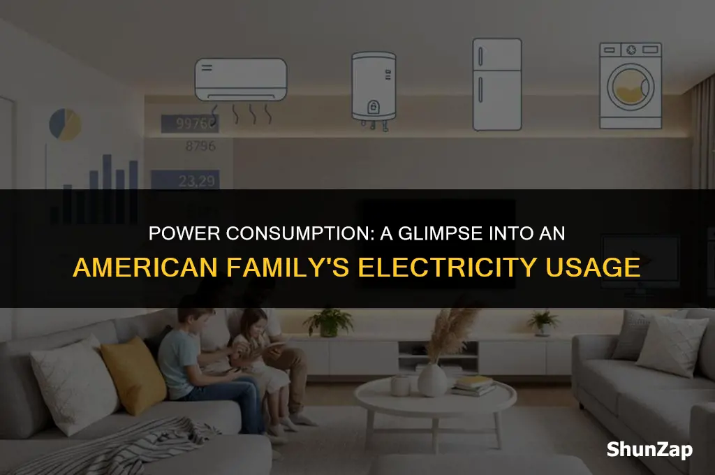 how many watts of electricity does an american family use