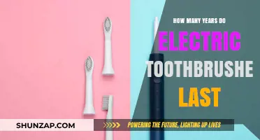Electric Toothbrushes: Lifespan and Longevity Explained