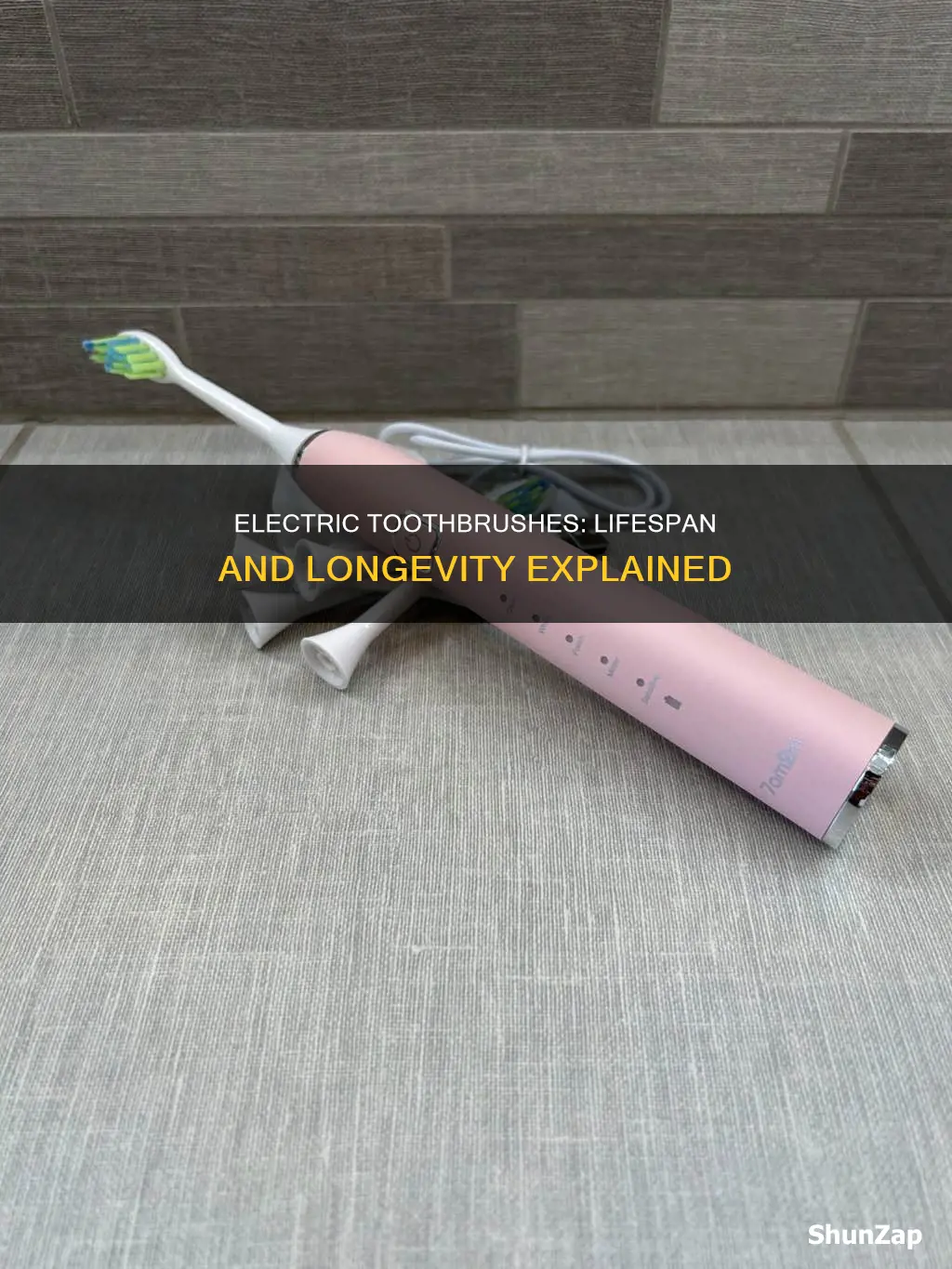 how many years do electric toothbrushes last