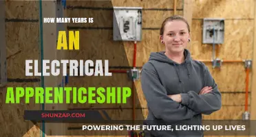 Electrical Apprenticeship: A Multi-Year Journey to Mastery