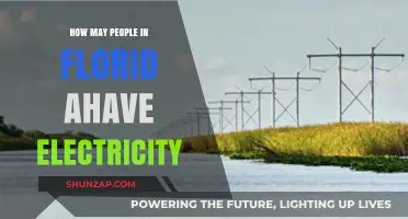 Electricity Access in Florida: Who Has Power?