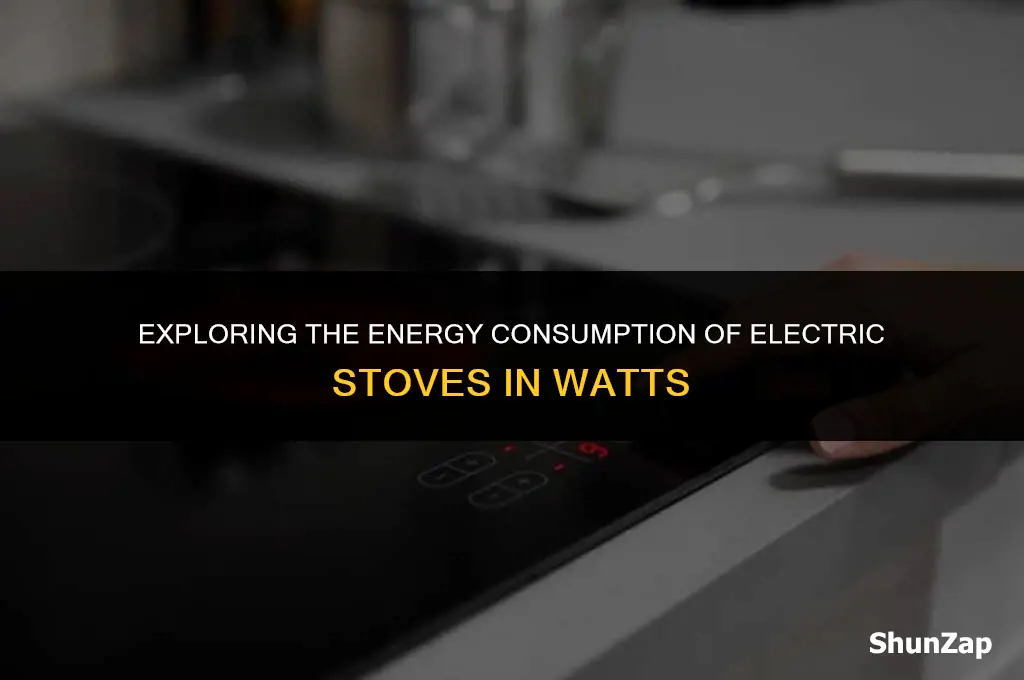 how mich do an electric stove use in watts