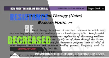 Exploring Factors that Decrease Membrane Electrical Resistance