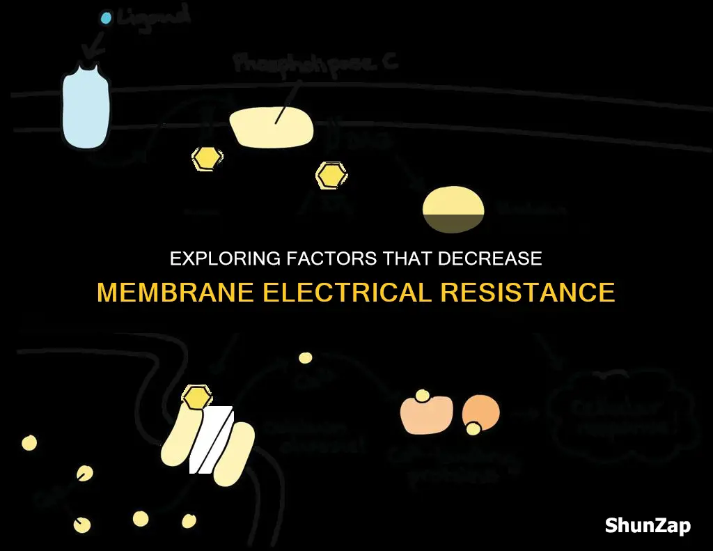 how might membrane electrical resistance be decreased