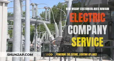 Hawaiin Electric Company: Powering Millions of Customers' Homes and Businesses