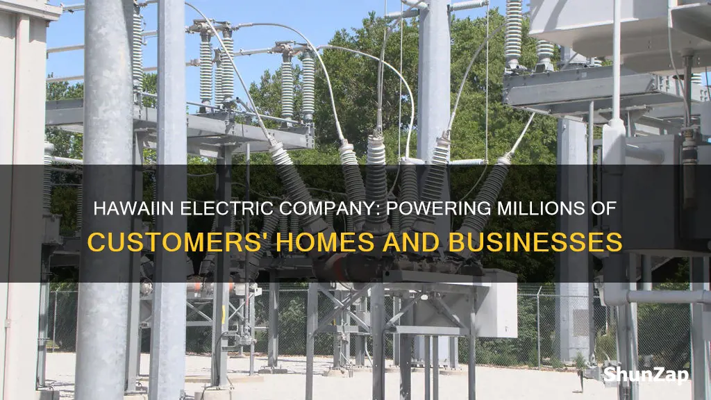 how msany customers does hawaiin electric company service