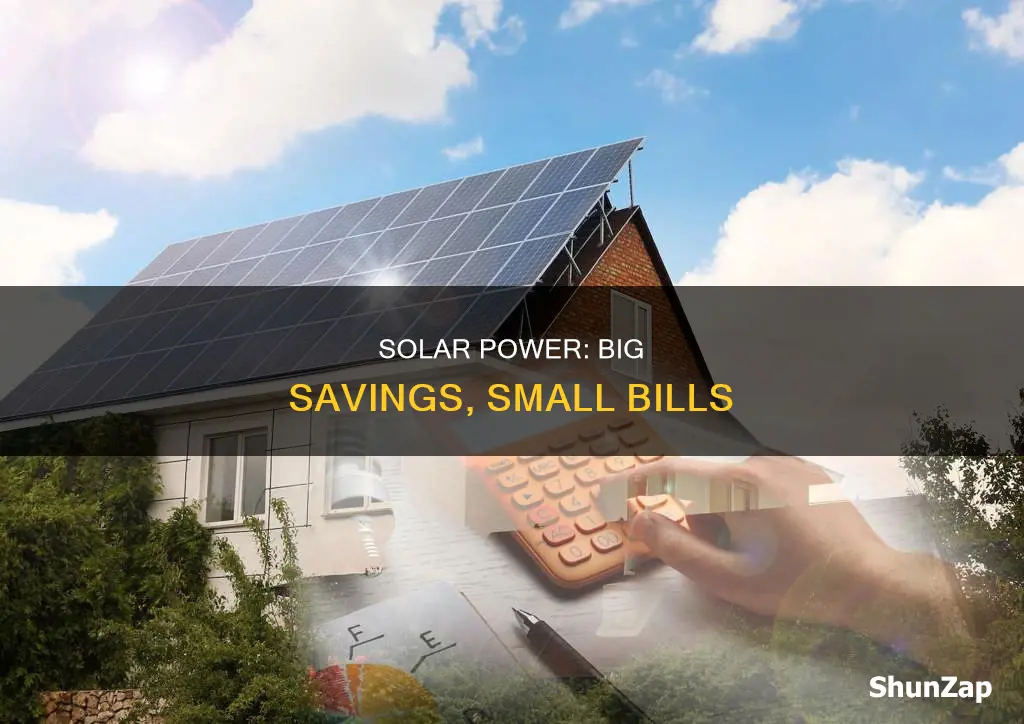 how muc do you save usiingsolar electric