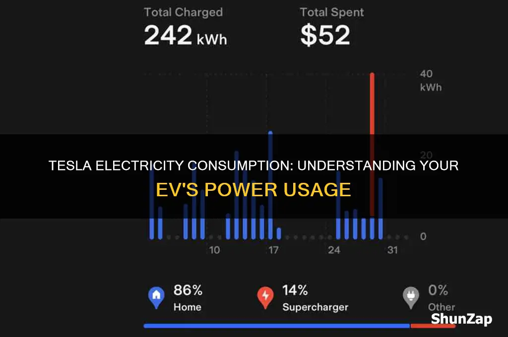 how muc electricity does a tesla car use