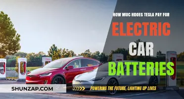 Tesla's Battery Costs: Unveiling the Expense Behind Electric Car Power